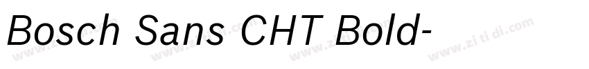 Bosch Sans CHT Bold字体转换